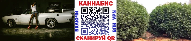 Купить закладку ГАШИШ  Кокаин  Псилоцибиновые грибы  Меф  АМФ  Льгов